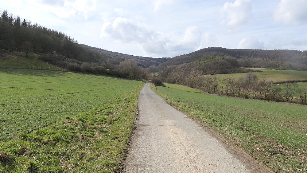 Traddelkopf