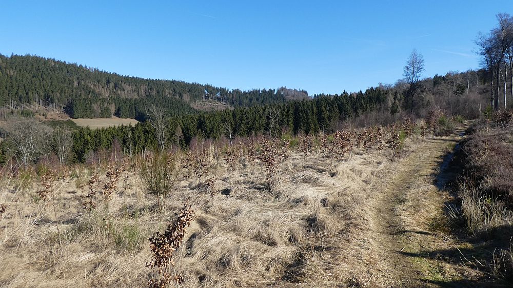 Olsberger Kneippweg