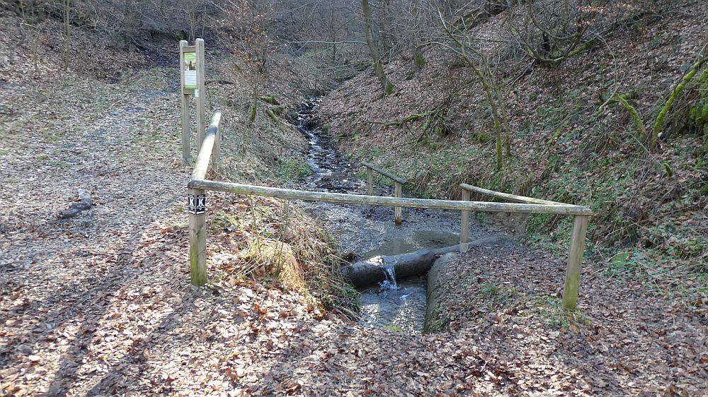 Olsberger Kneippweg