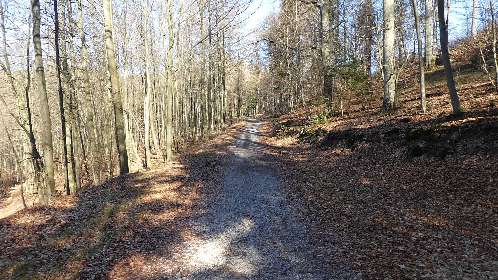 Olsberger Kneippweg