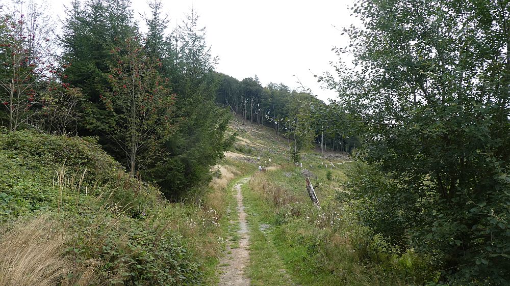 Olsberger Kneippweg