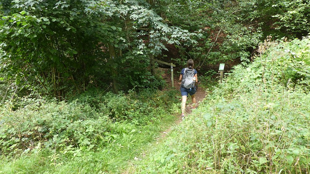 Olsberger Kneippweg