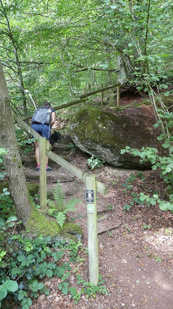 Olsberger Kneippweg