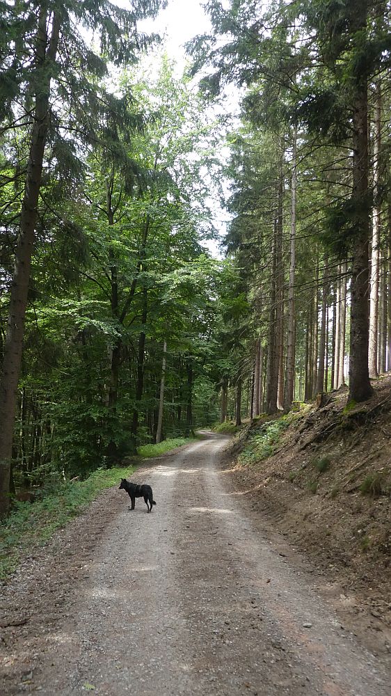 Olsberger Kneippweg