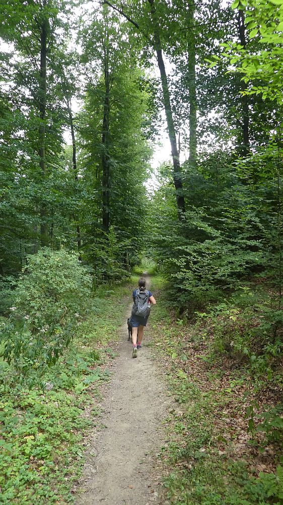 Olsberger Kneippweg