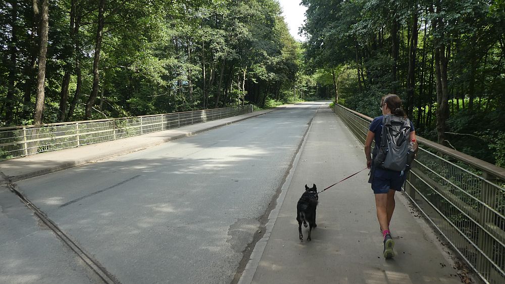 Olsberger Kneippweg