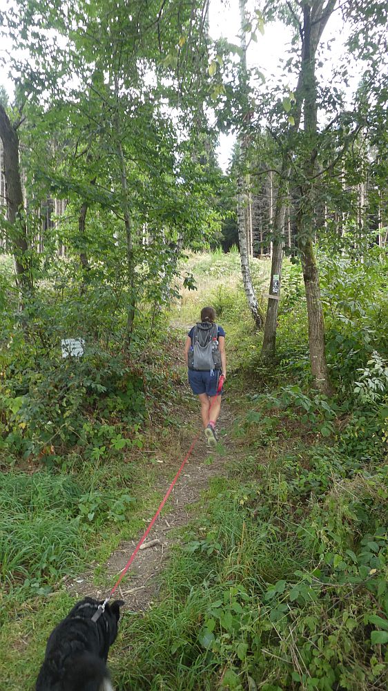 Olsberger Kneippweg