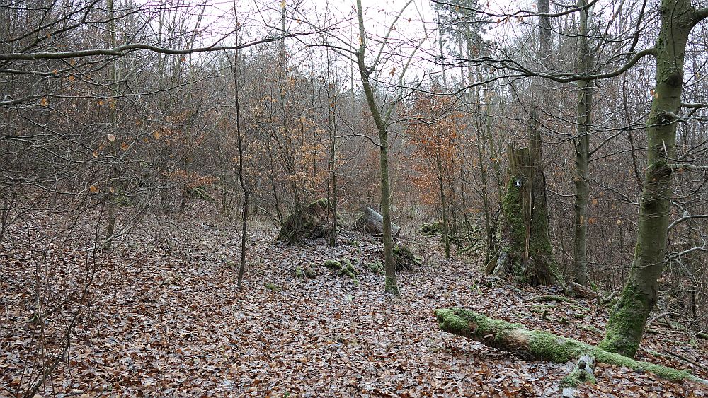 Olsberger Kneippweg