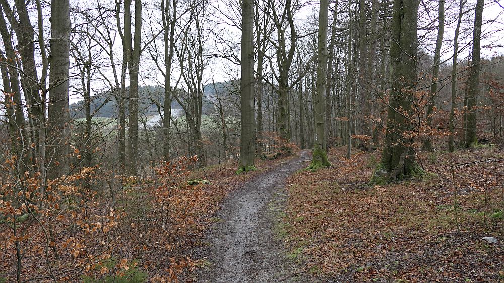 Olsberger Kneippweg