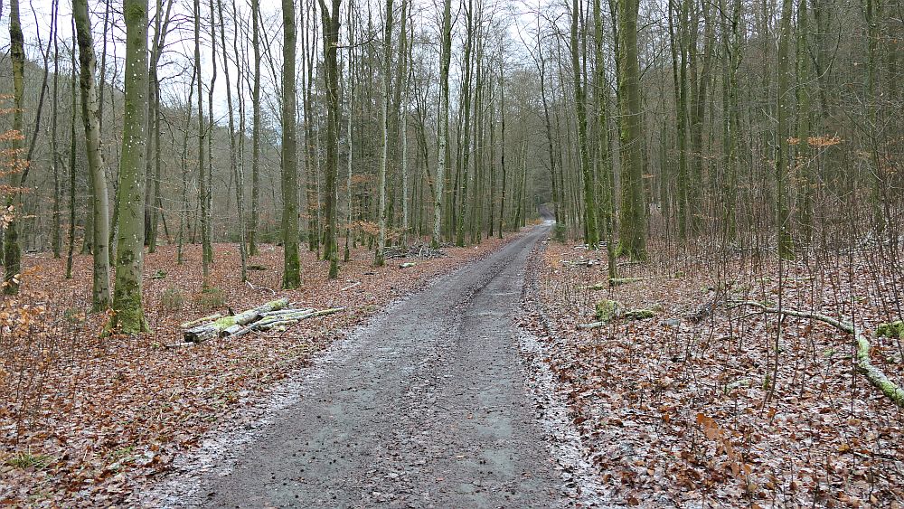 Olsberger Kneippweg