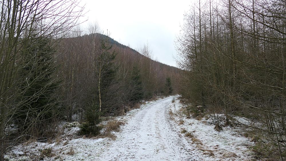 Olsberger Kneippweg