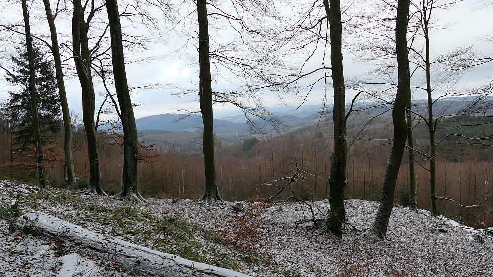 Olsberger Kneippweg