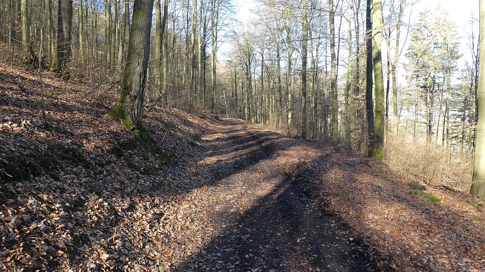 Olsberger Kneippweg