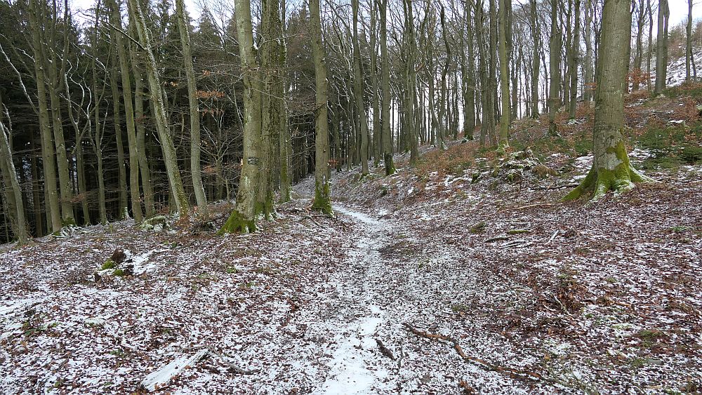 Olsberger Kneippweg