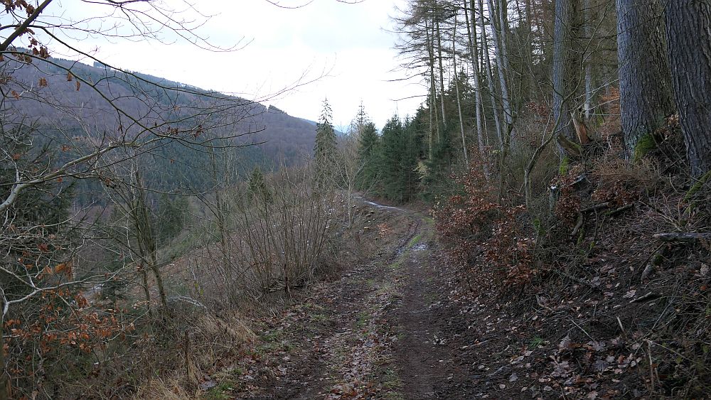 Olsberger Kneippweg
