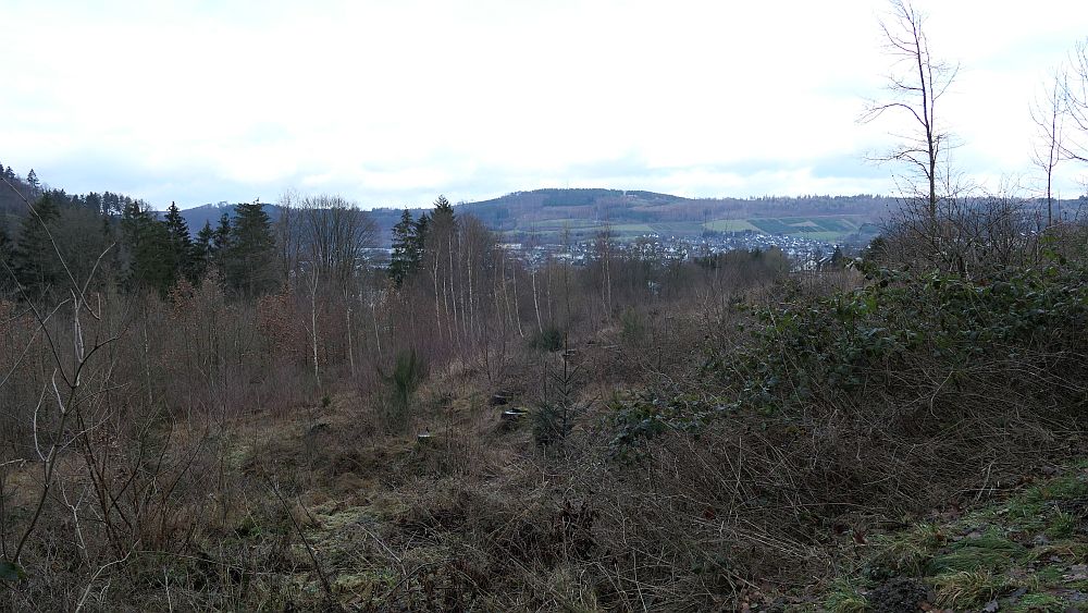 Olsberger Kneippweg