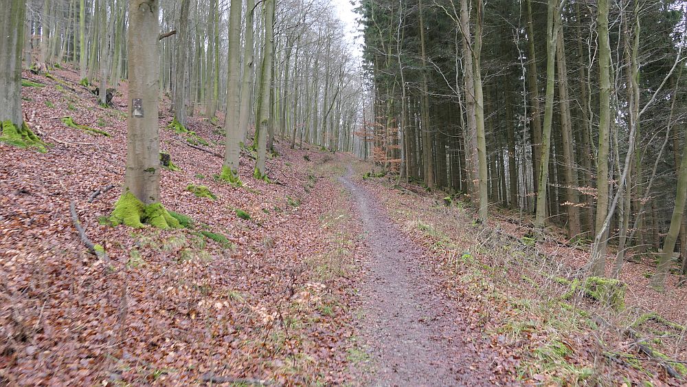 Olsberger Kneippweg