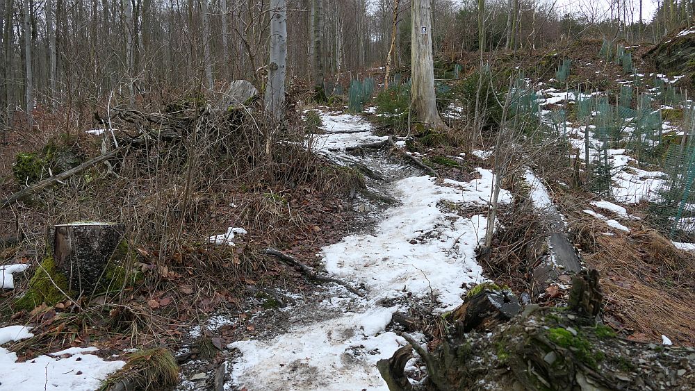 Olsberger Kneippweg