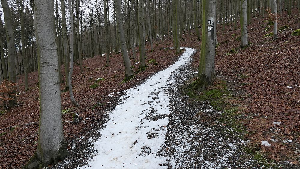 Olsberger Kneippweg