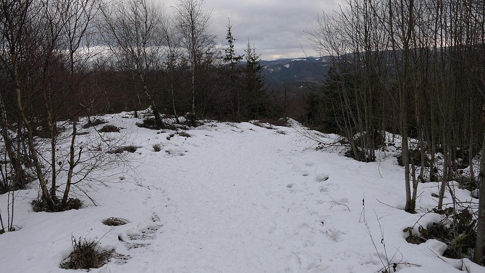 Olsberger Kneippweg