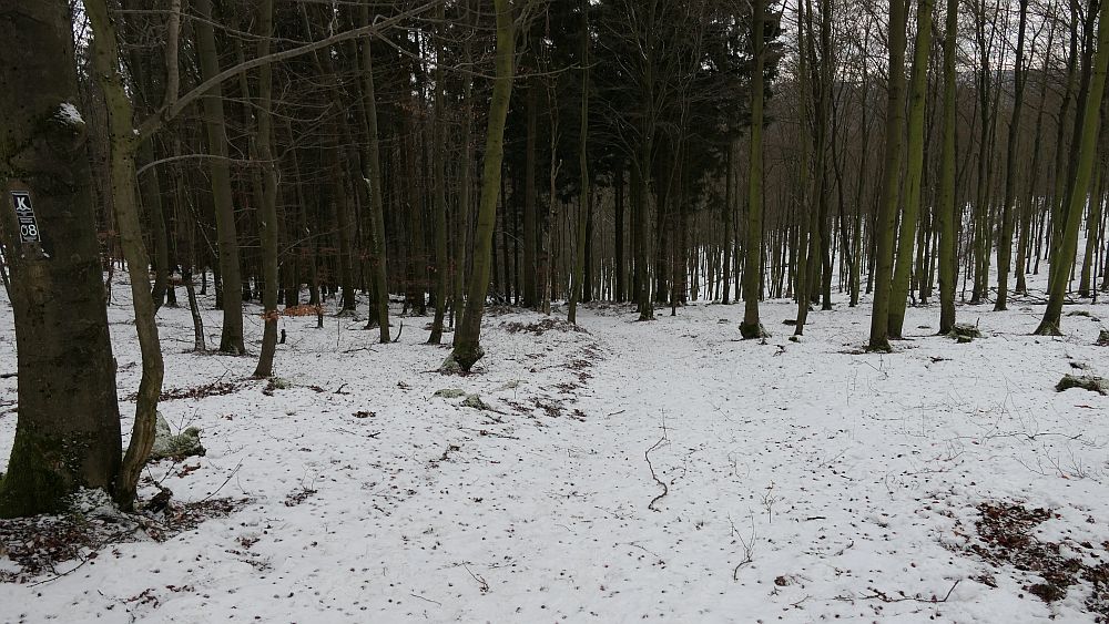 Olsberger Kneippweg