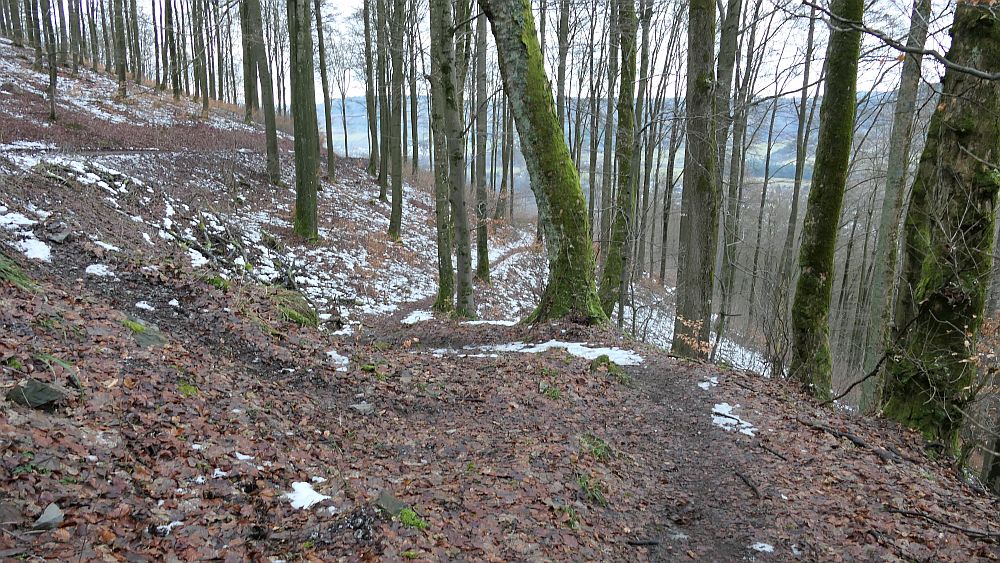 Olsberger Kneippweg