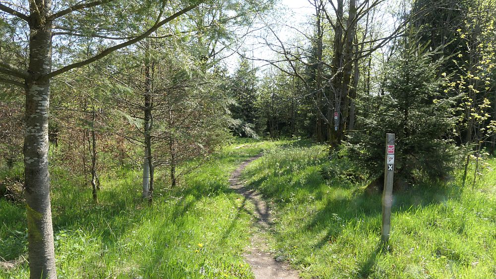 Lahnwanderweg
