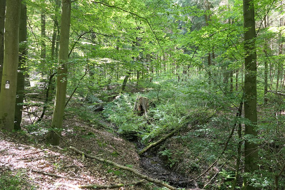 Lahnwanderweg