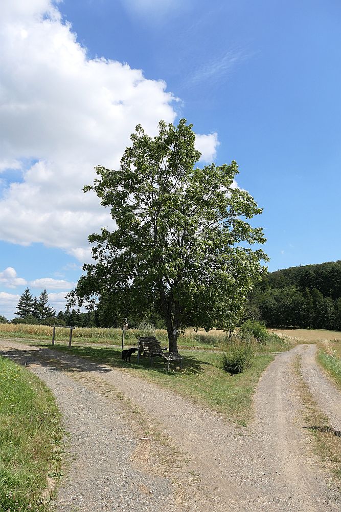 Lahnwanderweg