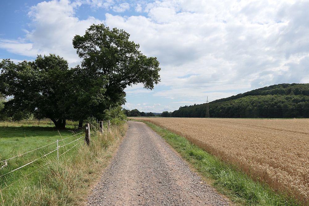 Lahnwanderweg