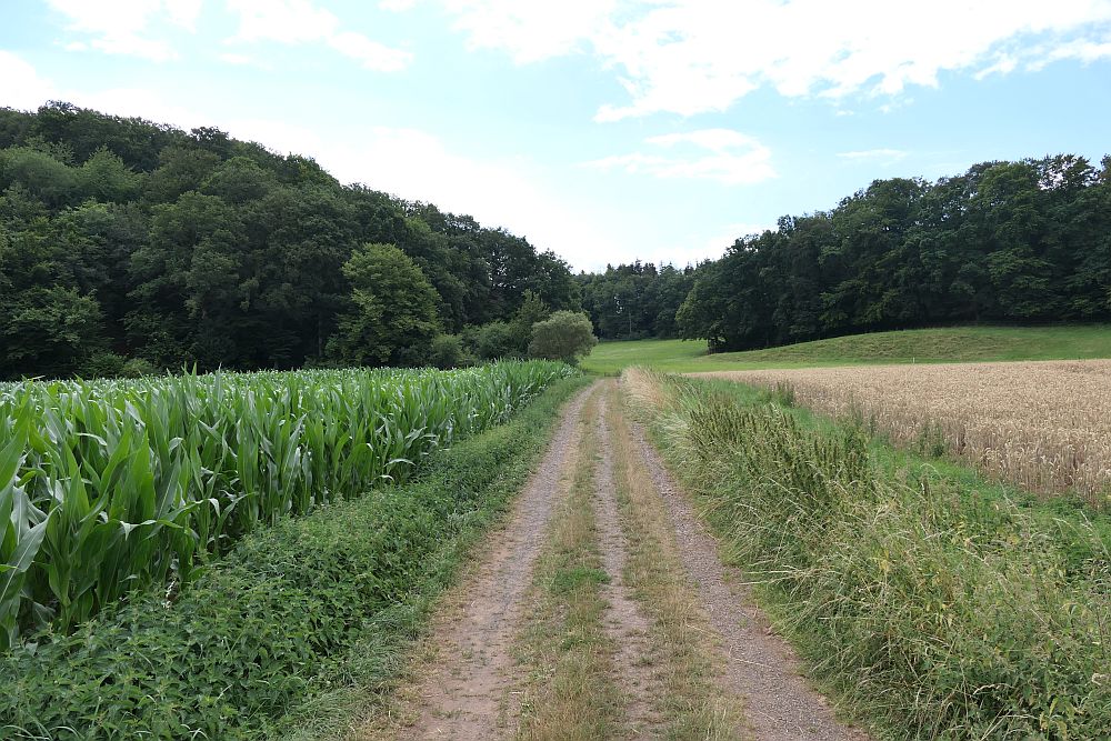 Lahnwanderweg