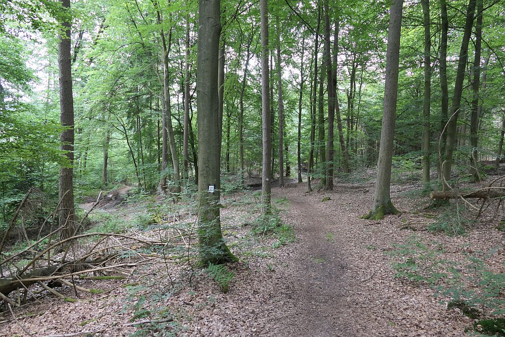 Lahnwanderweg