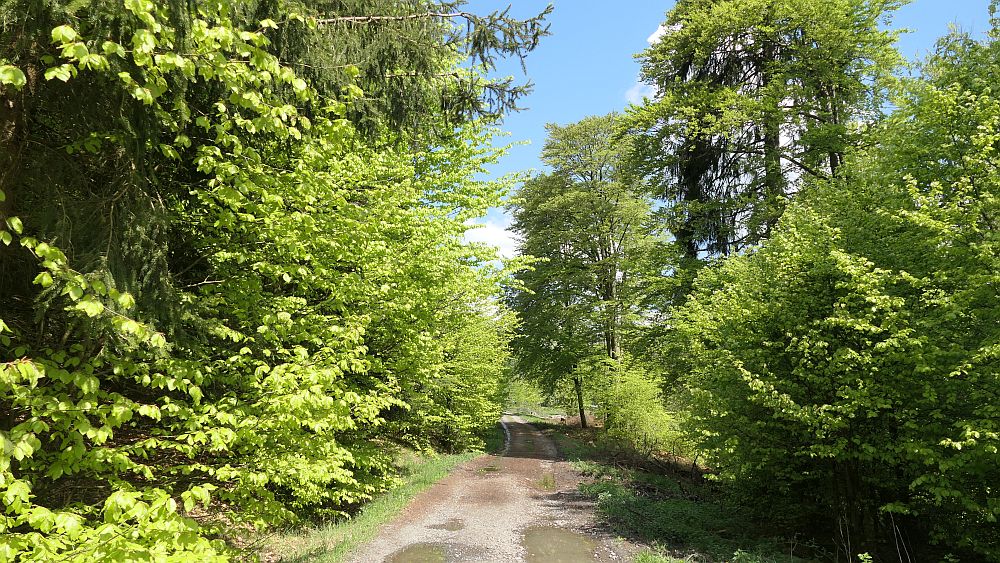 Lahnwanderweg