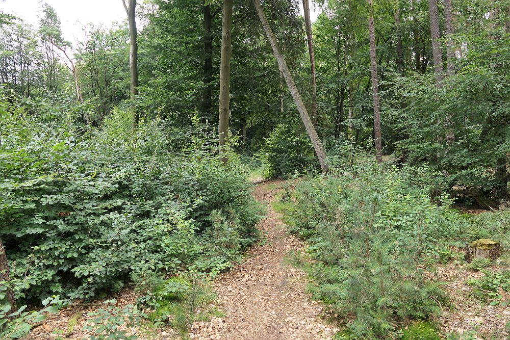 Lahnwanderweg