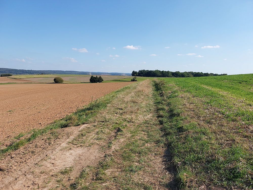 Lahnwanderweg