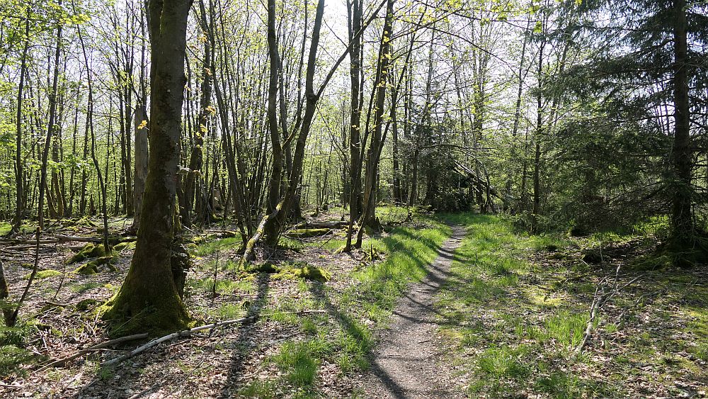 Lahnwanderweg