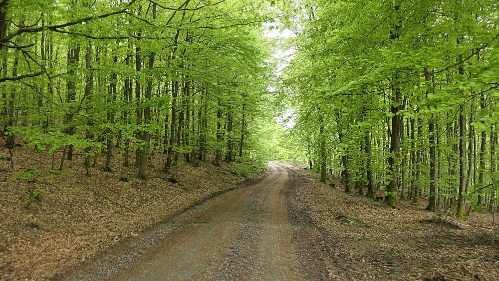 Lahnwanderweg