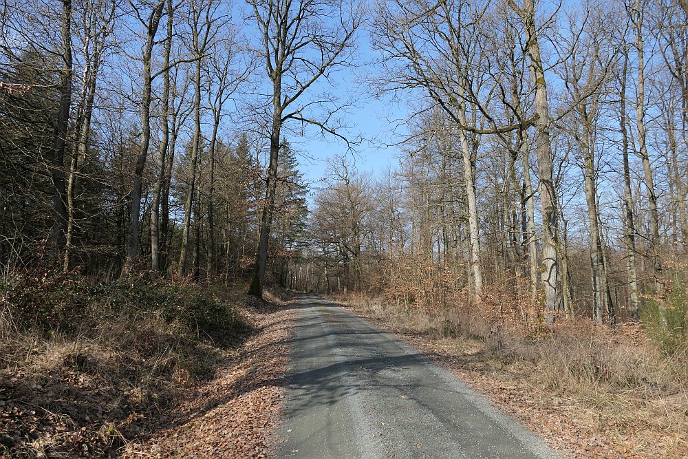 Lahnwanderweg