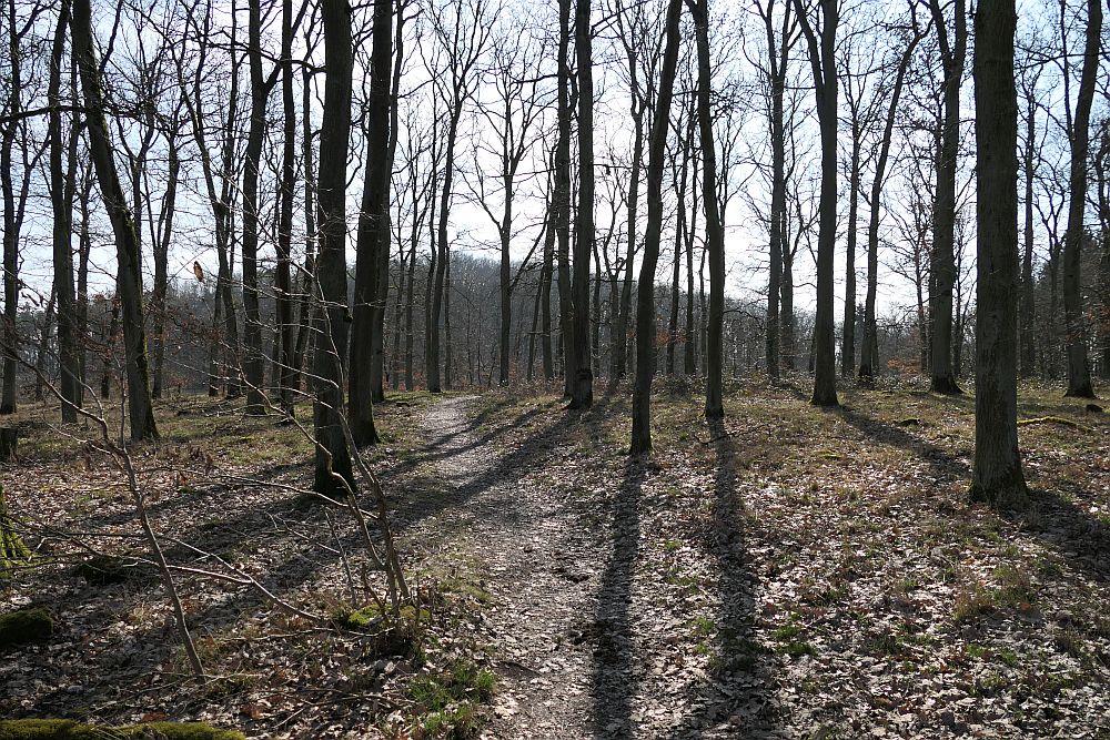 Lahnwanderweg