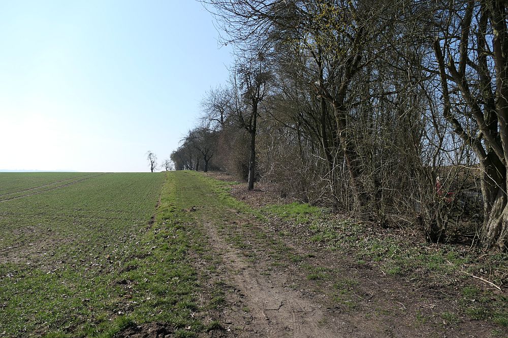 Lahnwanderweg