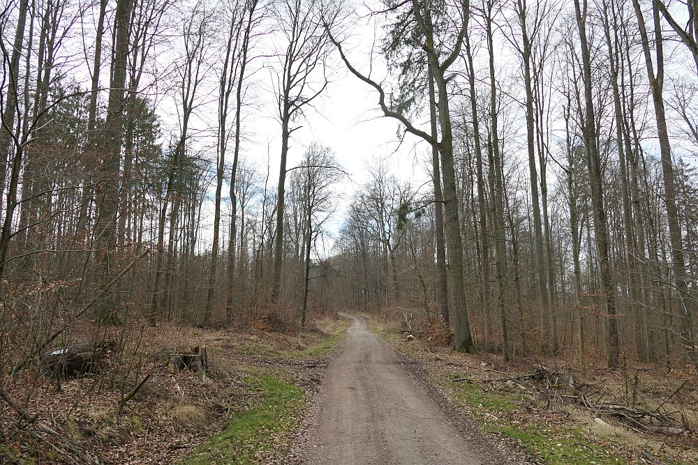 Lahnwanderweg