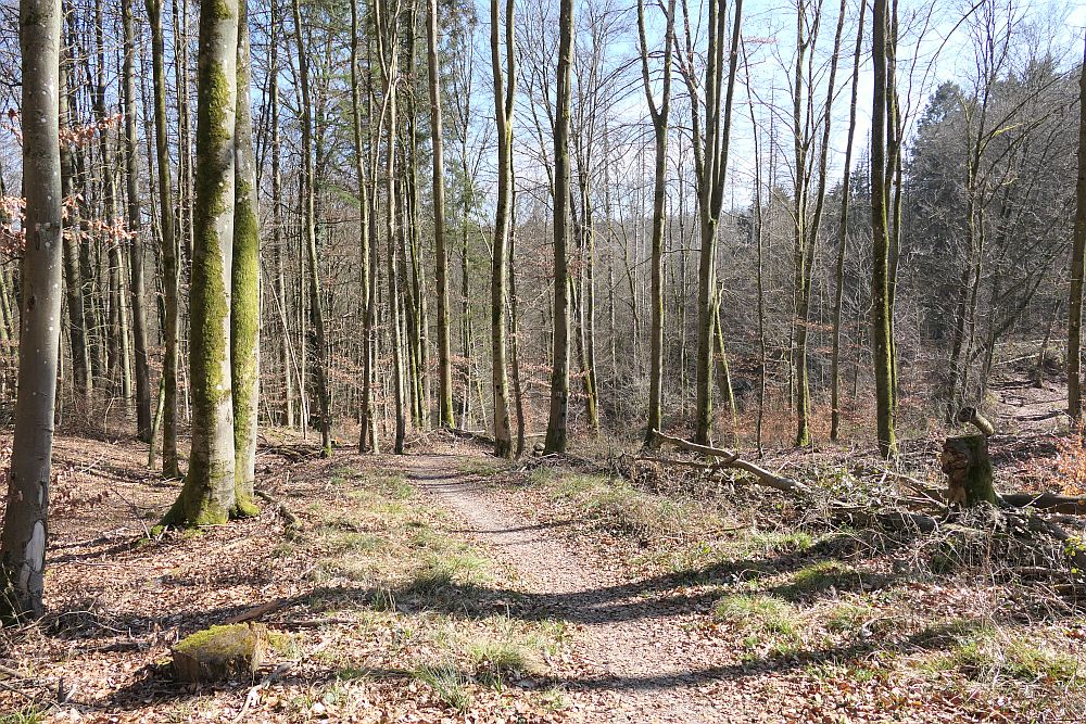 Lahnwanderweg