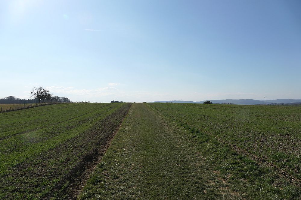 Lahnwanderweg