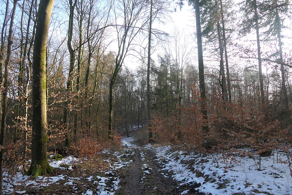 Lahnwanderweg