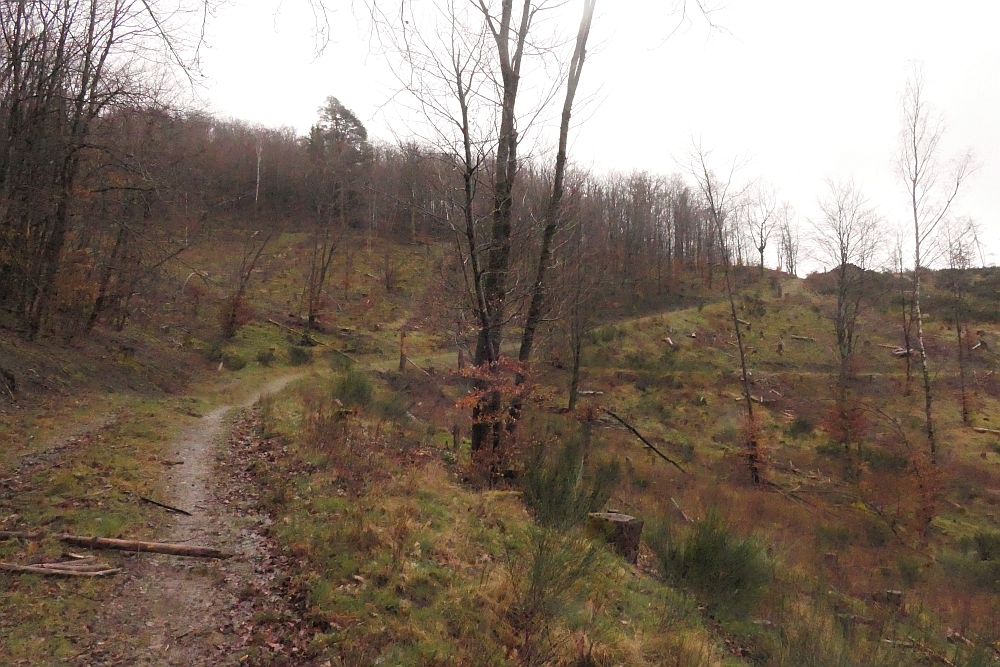 Lahnwanderweg
