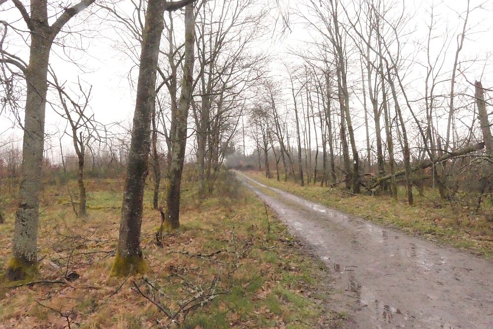 Lahnwanderweg