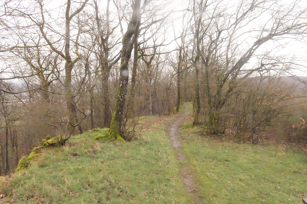 Lahnwanderweg