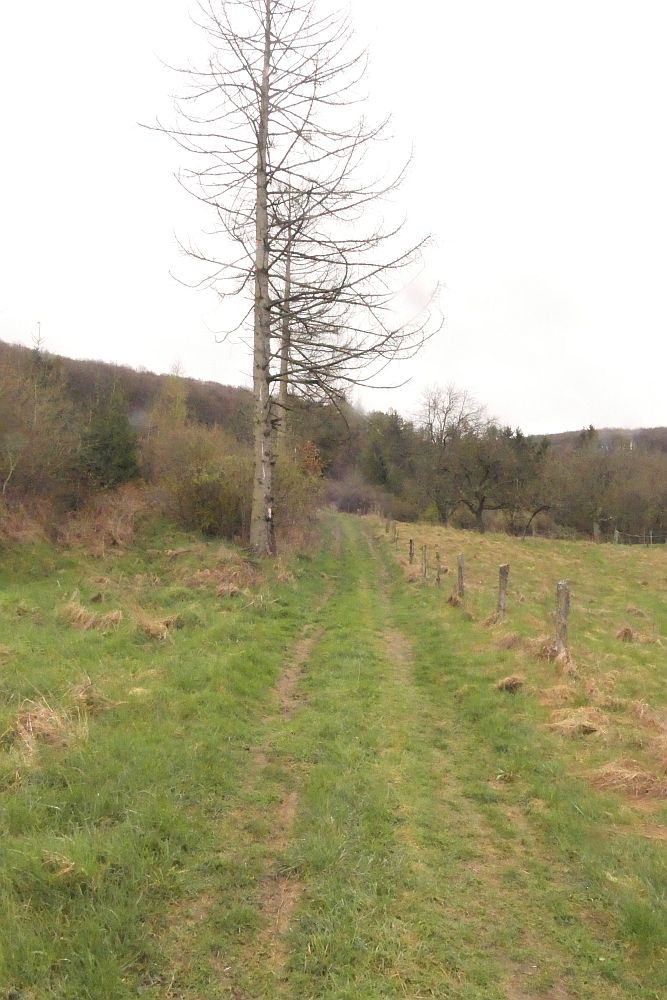 Lahnwanderweg