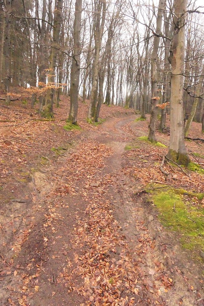 Lahnwanderweg