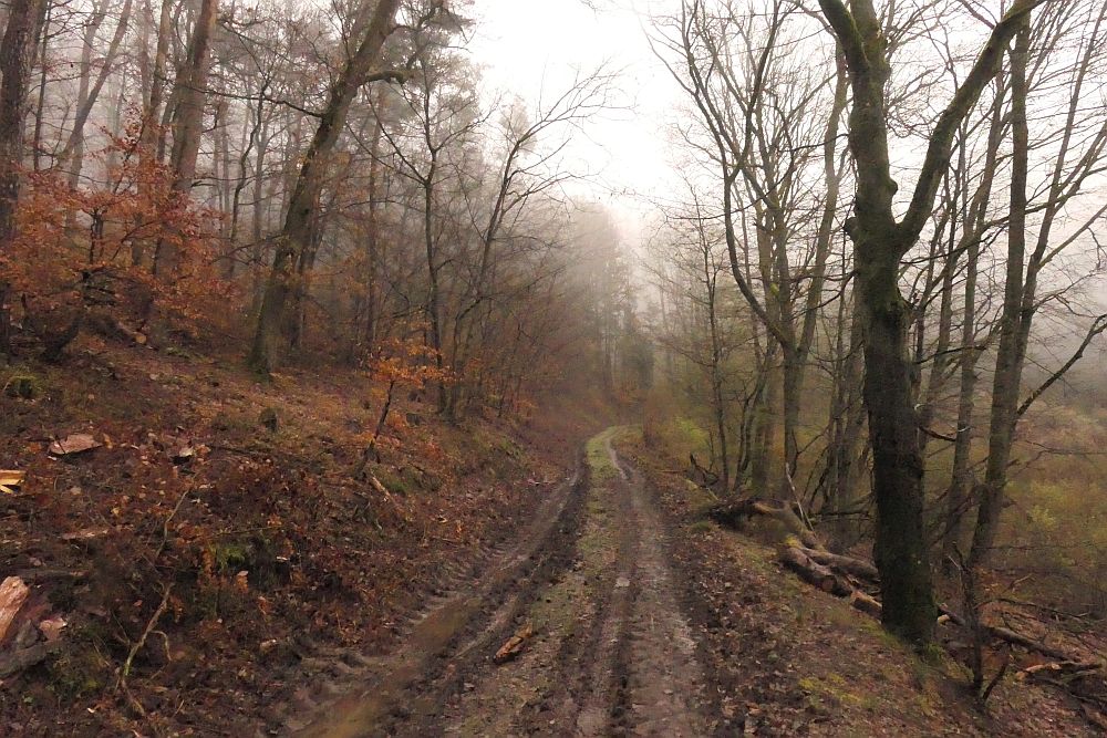 Lahnwanderweg
